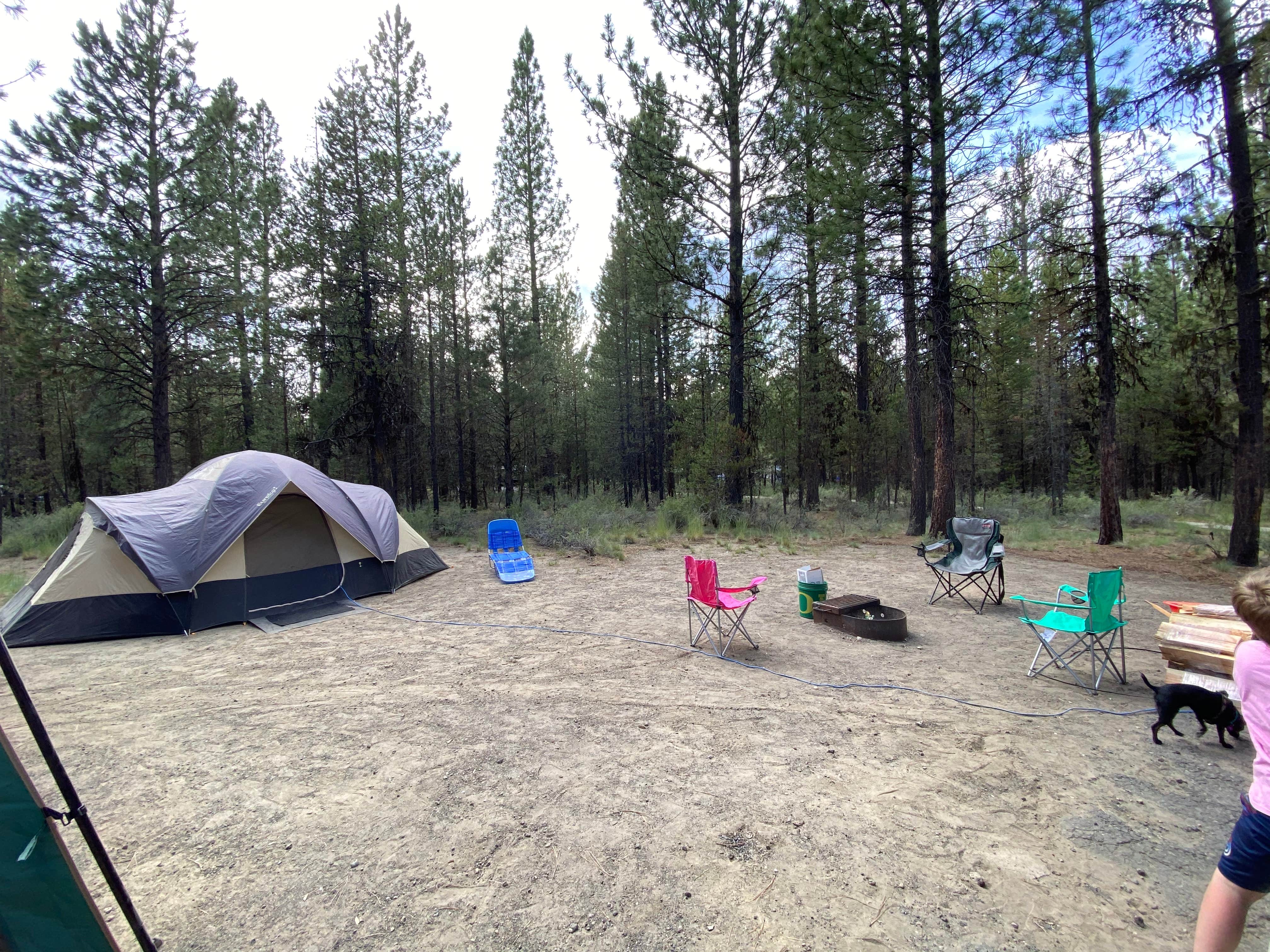 Amanda B.'s photo at LaPine State Park Campground near La Pine, OR