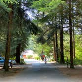 Review photo of Silver Falls State Park Campground by Amanda B., September 1, 2020