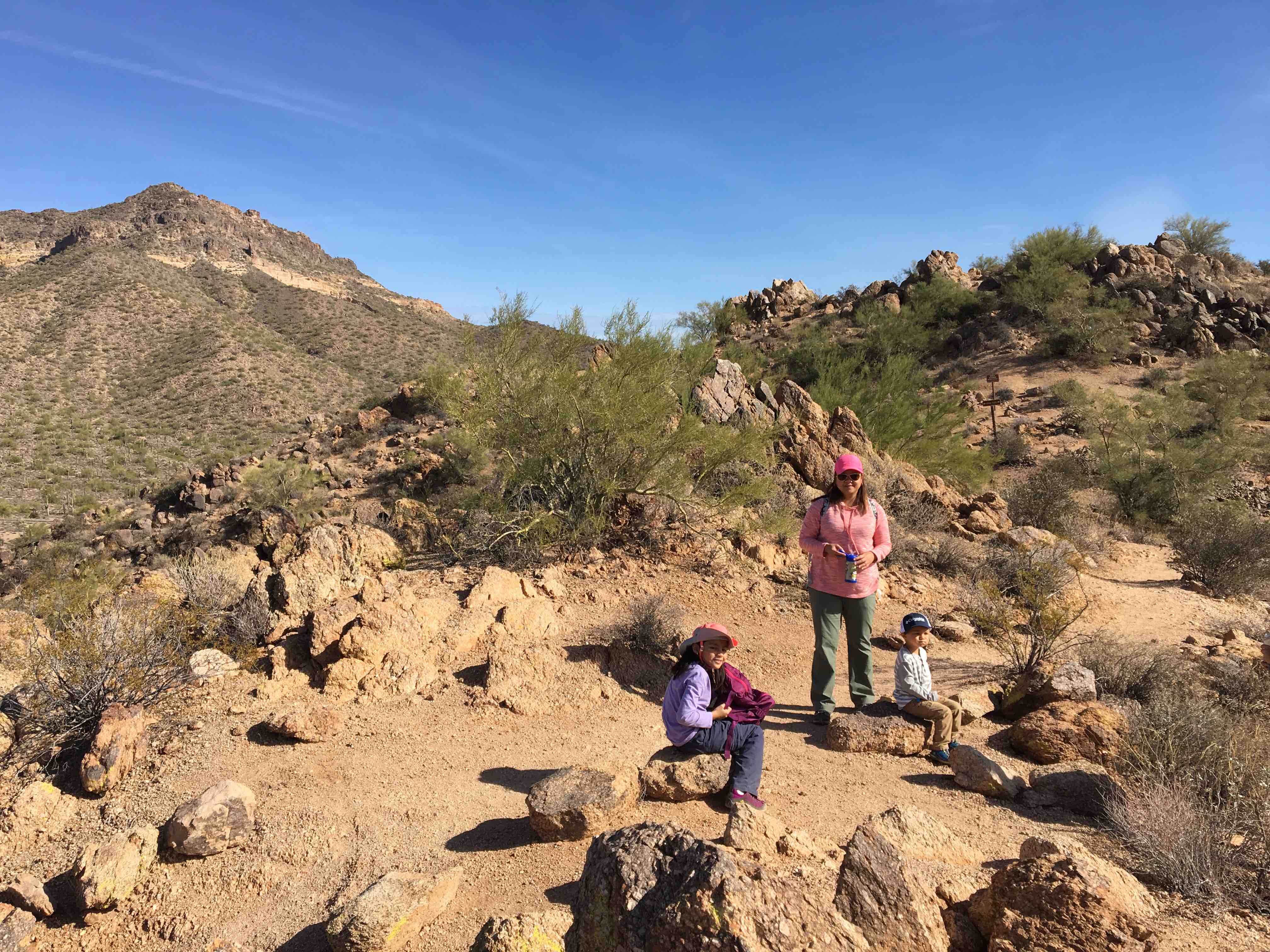 Camper submitted image from Usery Mountain Regional Park - 2