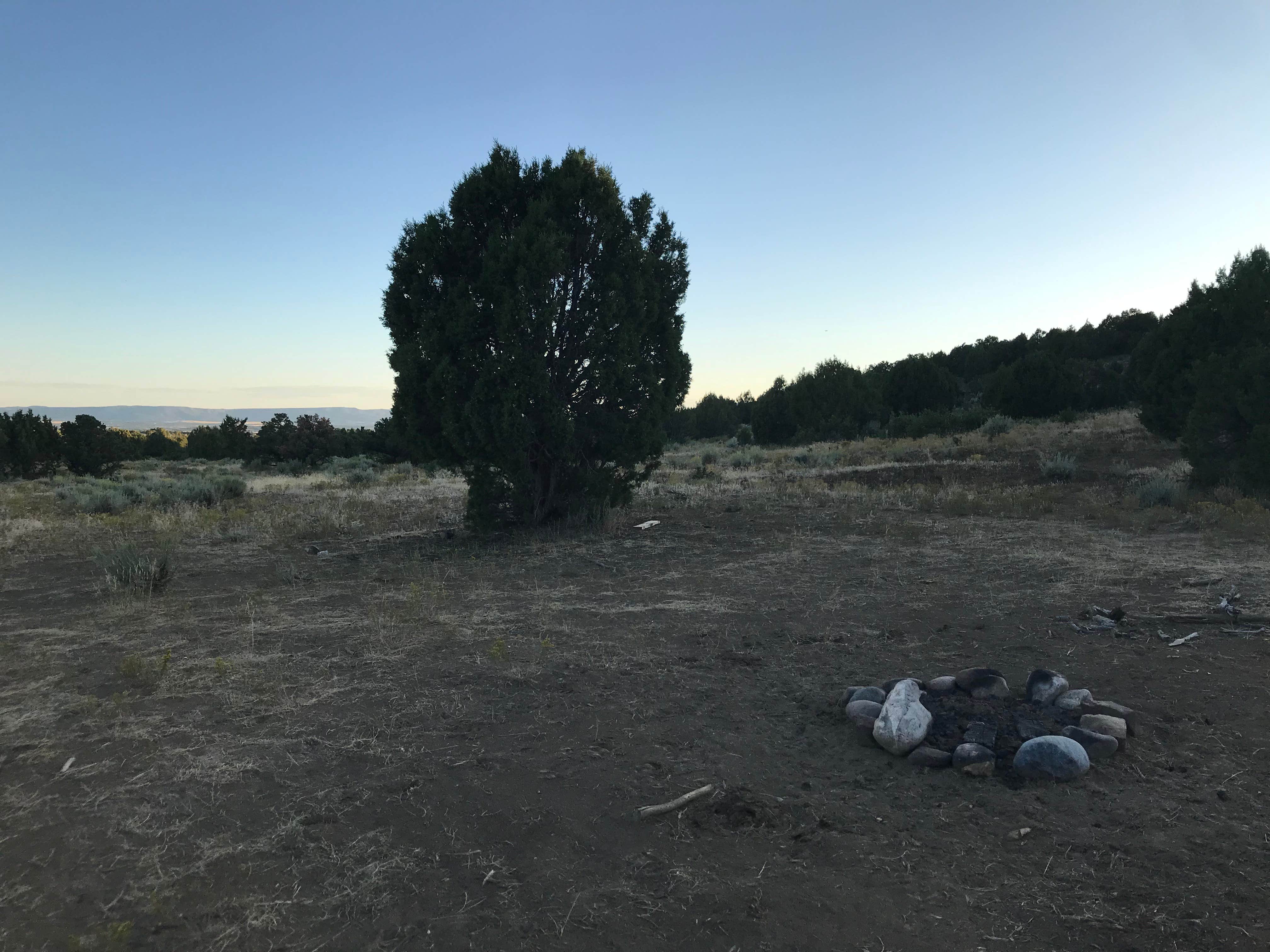 Camper-submitted photo at Bayfield/Durango Dispersed Camping near Aztec, NM