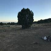Review photo of Bayfield/Durango Dispersed Camping by Anthony P., September 1, 2020