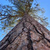 Review photo of LaPine State Park Campground by Amanda B., September 1, 2020