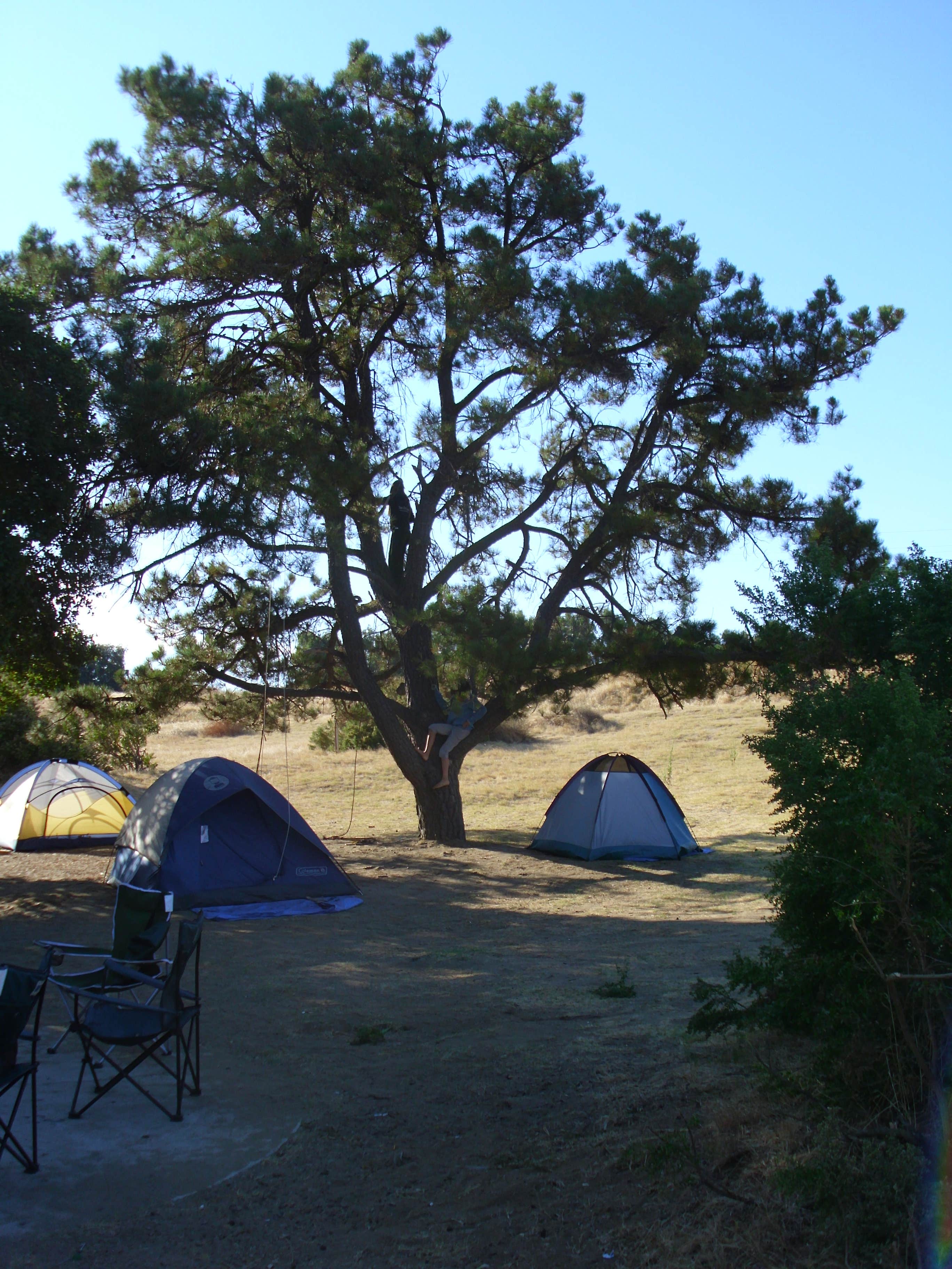 Camper submitted image from Brannan Island State Recreation Area - 4