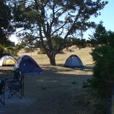 Review photo of Brannan Island State Recreation Area by MarinMaverick , September 1, 2020
