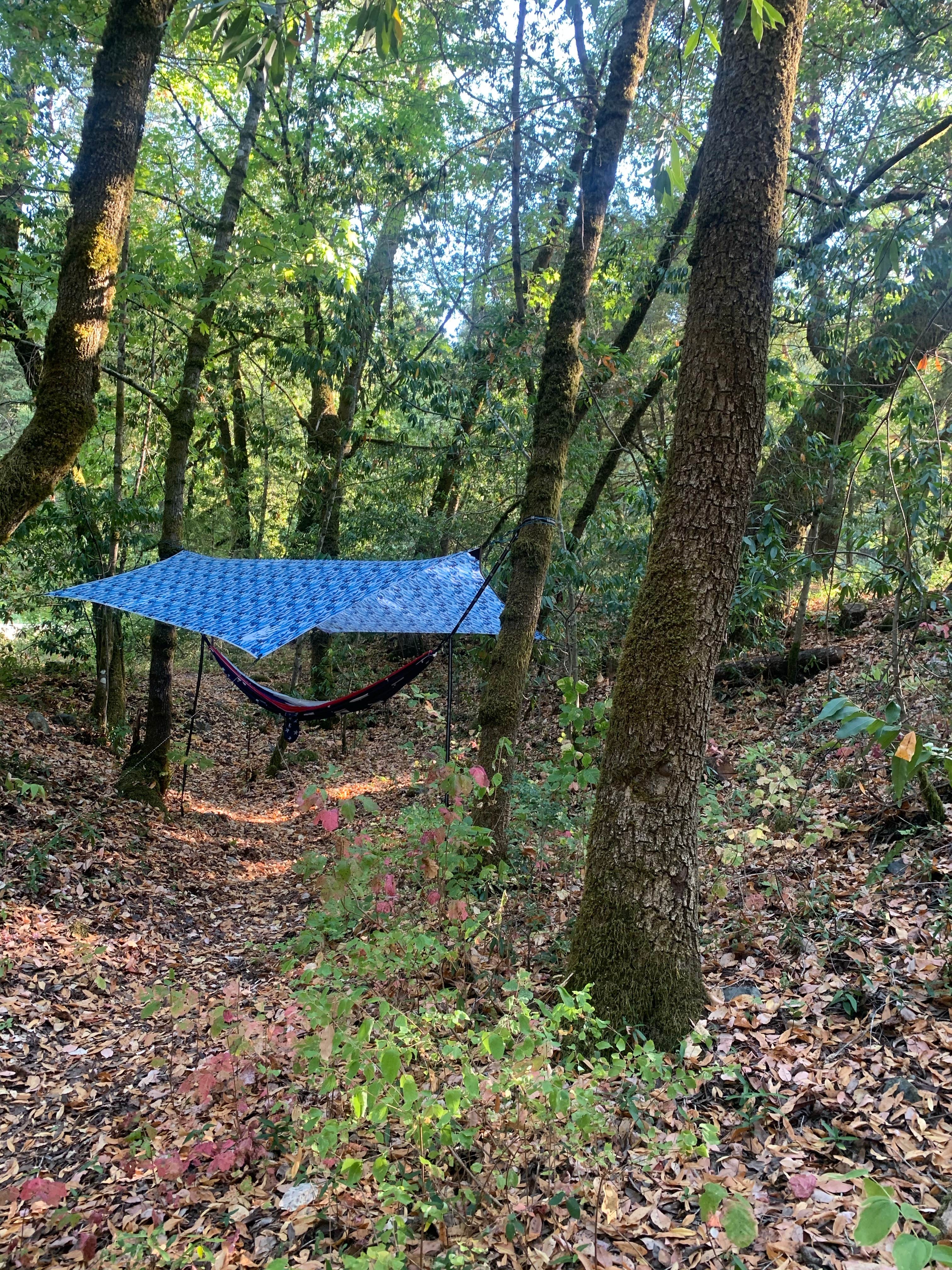 Camper submitted image from Boise Creek - 2