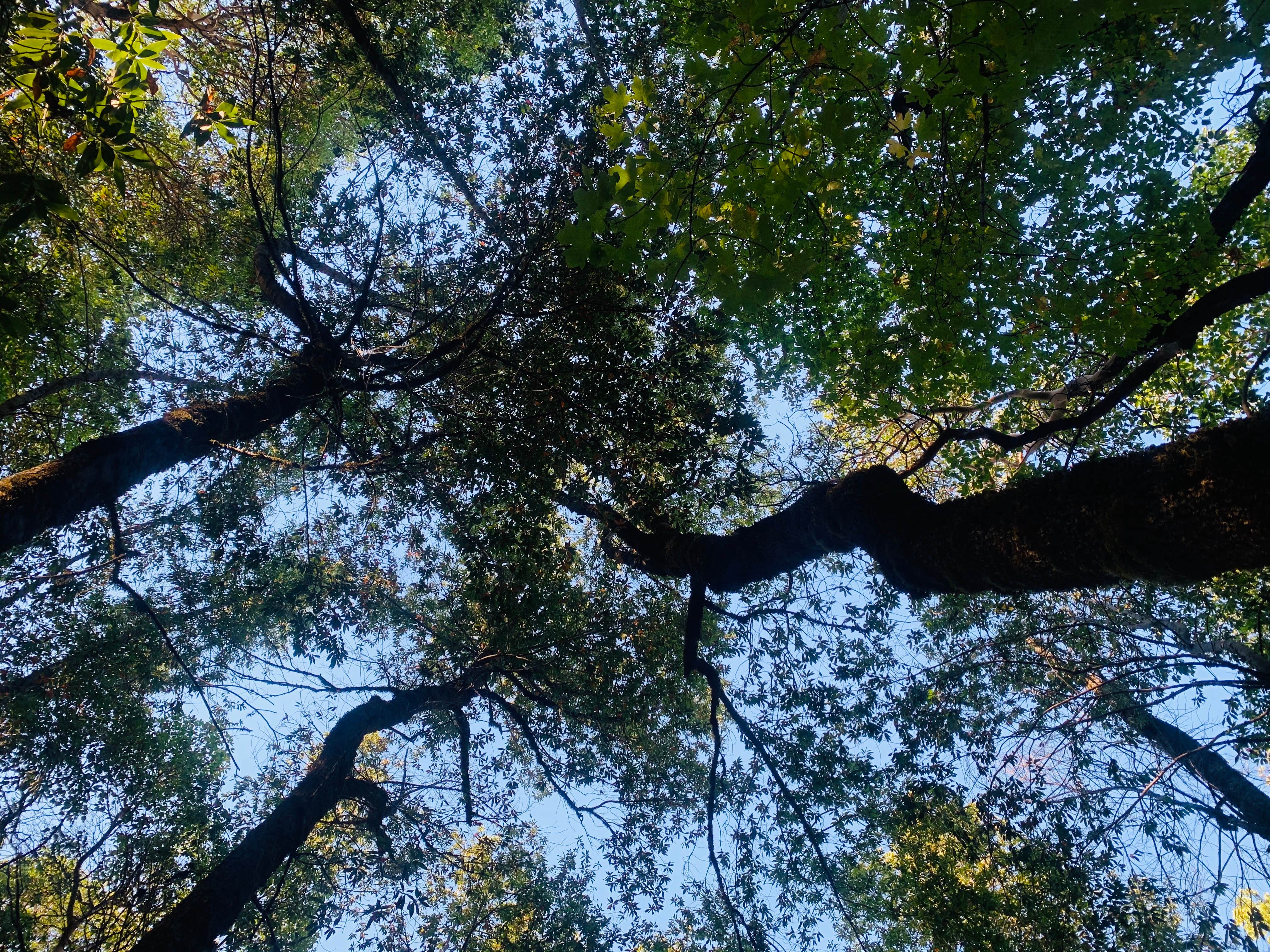 Camper submitted image from Boise Creek - 3