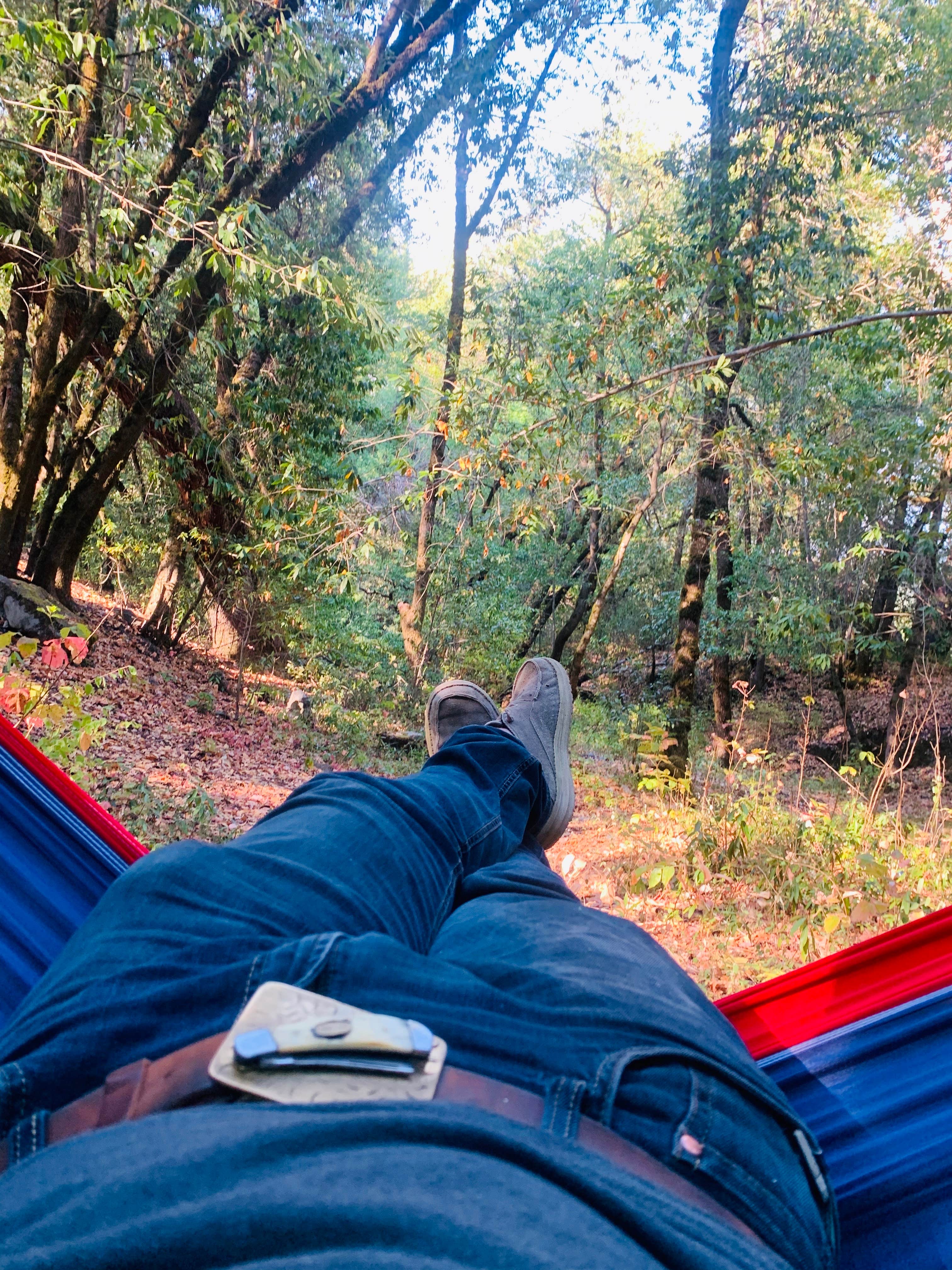 Camper-submitted photo at Boise Creek near Six Rivers National Forest