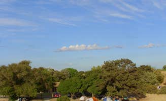 MarinMaverick's photo at Brannan Island State Recreation Area near Alamo, CA