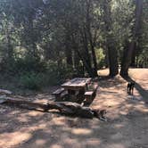 Review photo of Observatory Campground by Kramer B., September 1, 2020