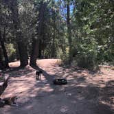 Review photo of Observatory Campground by Kramer B., September 1, 2020