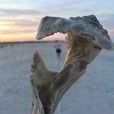 Review photo of Anastasia State Park Campground by Tom F., May 12, 2018