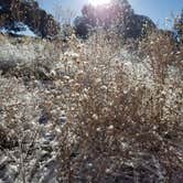 Review photo of El Morro National Monument by Mara F., May 12, 2018