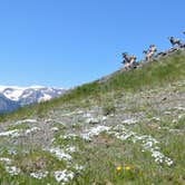 Review photo of Amphitheater Campground by Thomas H., July 6, 2016