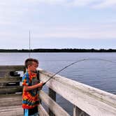 Review photo of Bayside Assateague Campground — Assateague Island National Seashore by Victoria V., May 12, 2018