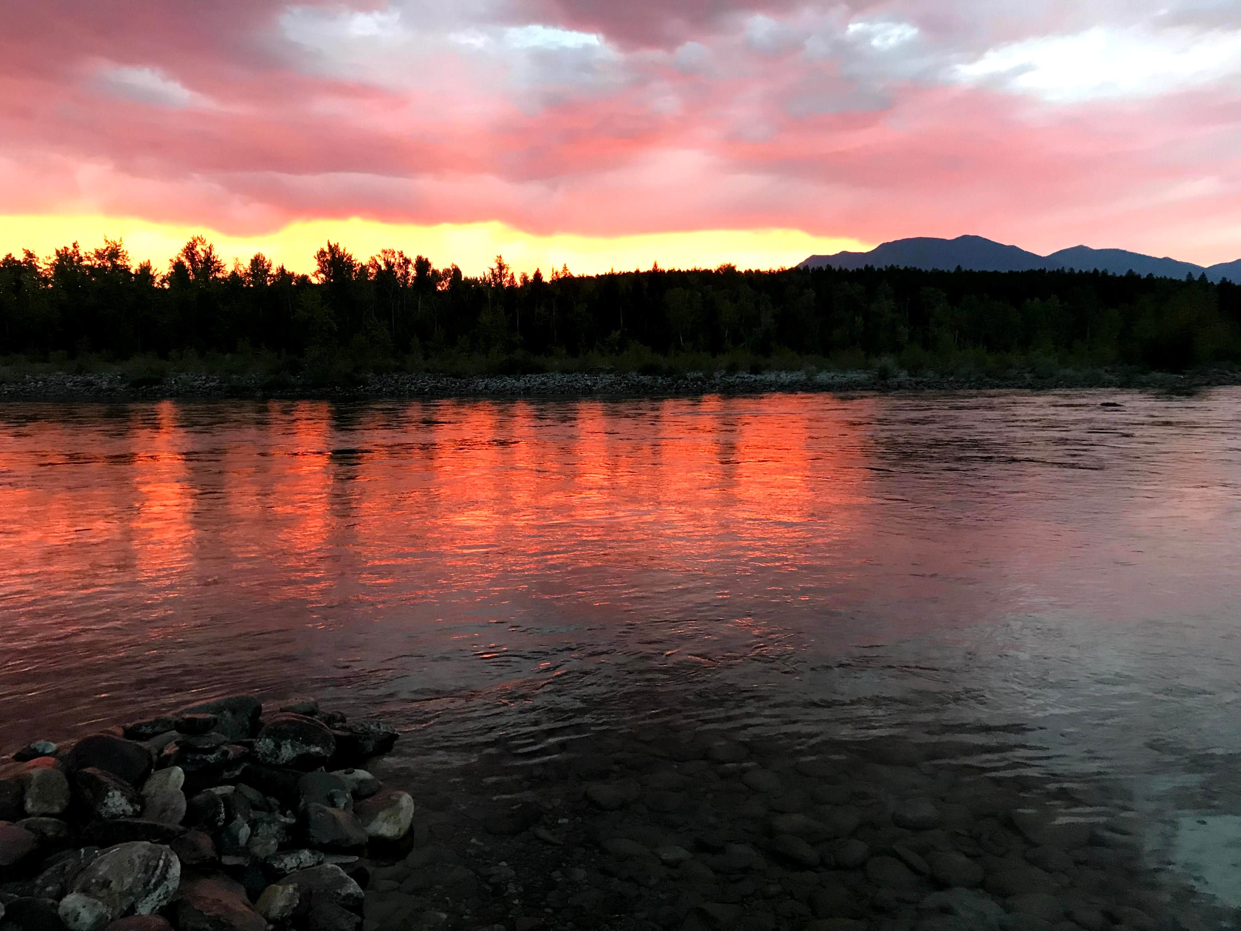 Laura C.'s photo of a dispersed camping area at Middle Fork Flathead River Dispersed near Babb, MT
