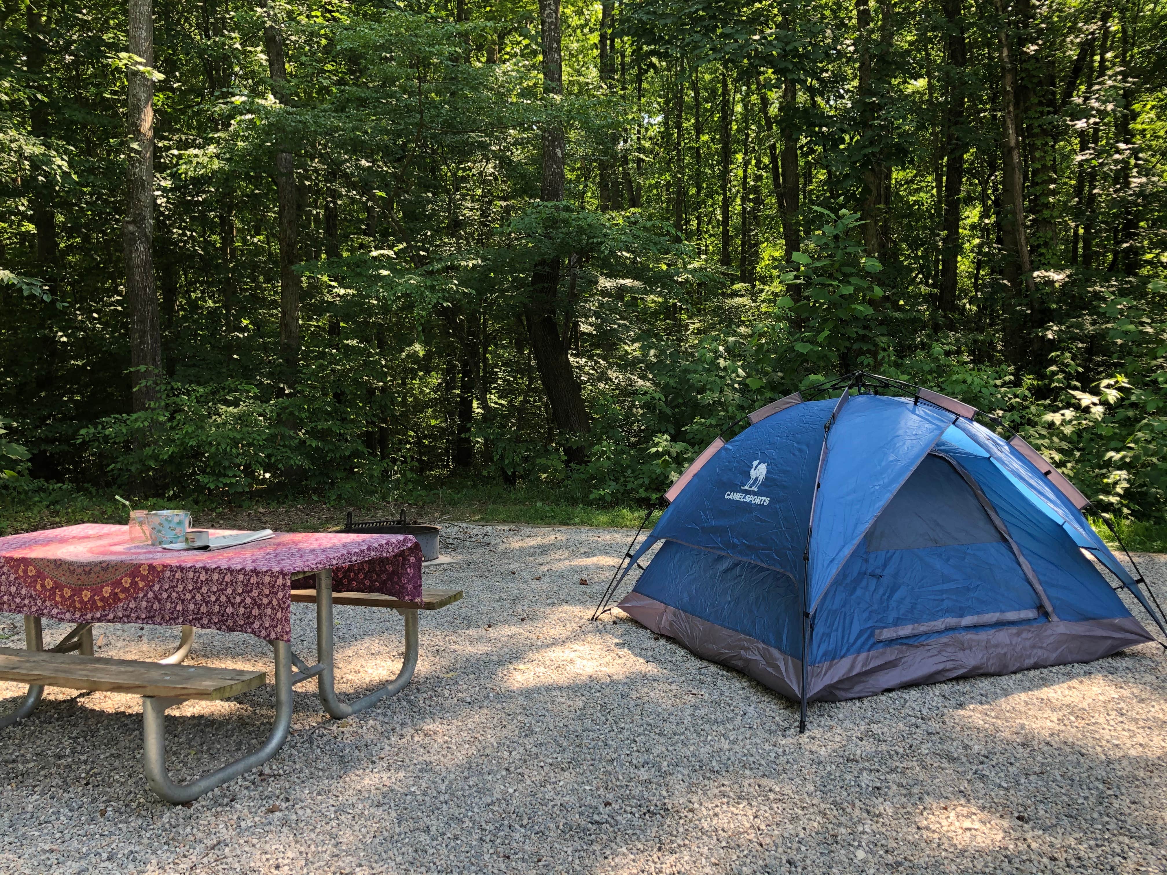 RL's photo at Powhatan State Park Campground in Virginia