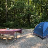 Review photo of Powhatan State Park Campground by RL , July 2, 2020