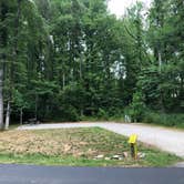 Review photo of Powhatan State Park Campground by RL , July 2, 2020