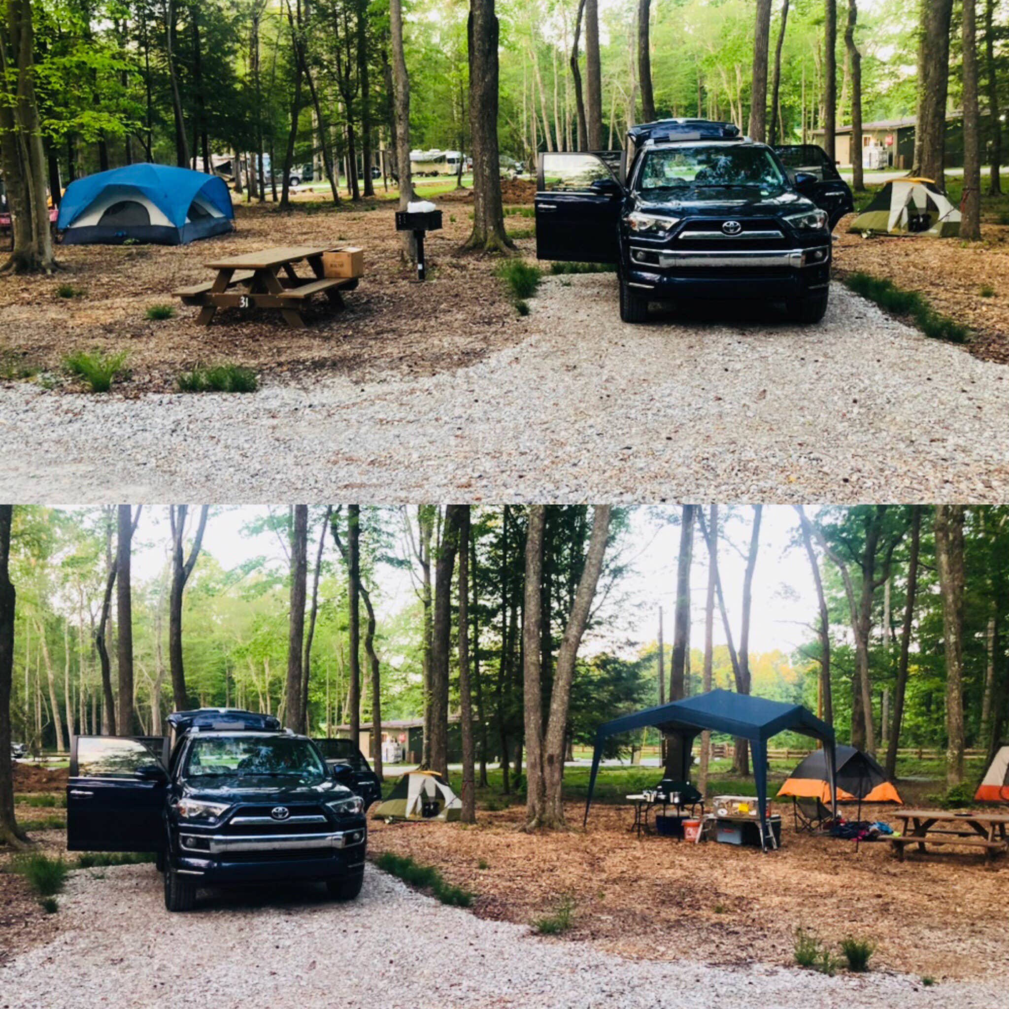 Shelly S.'s photo at Old Mill Camp and General Store near Dale Hollow Lake