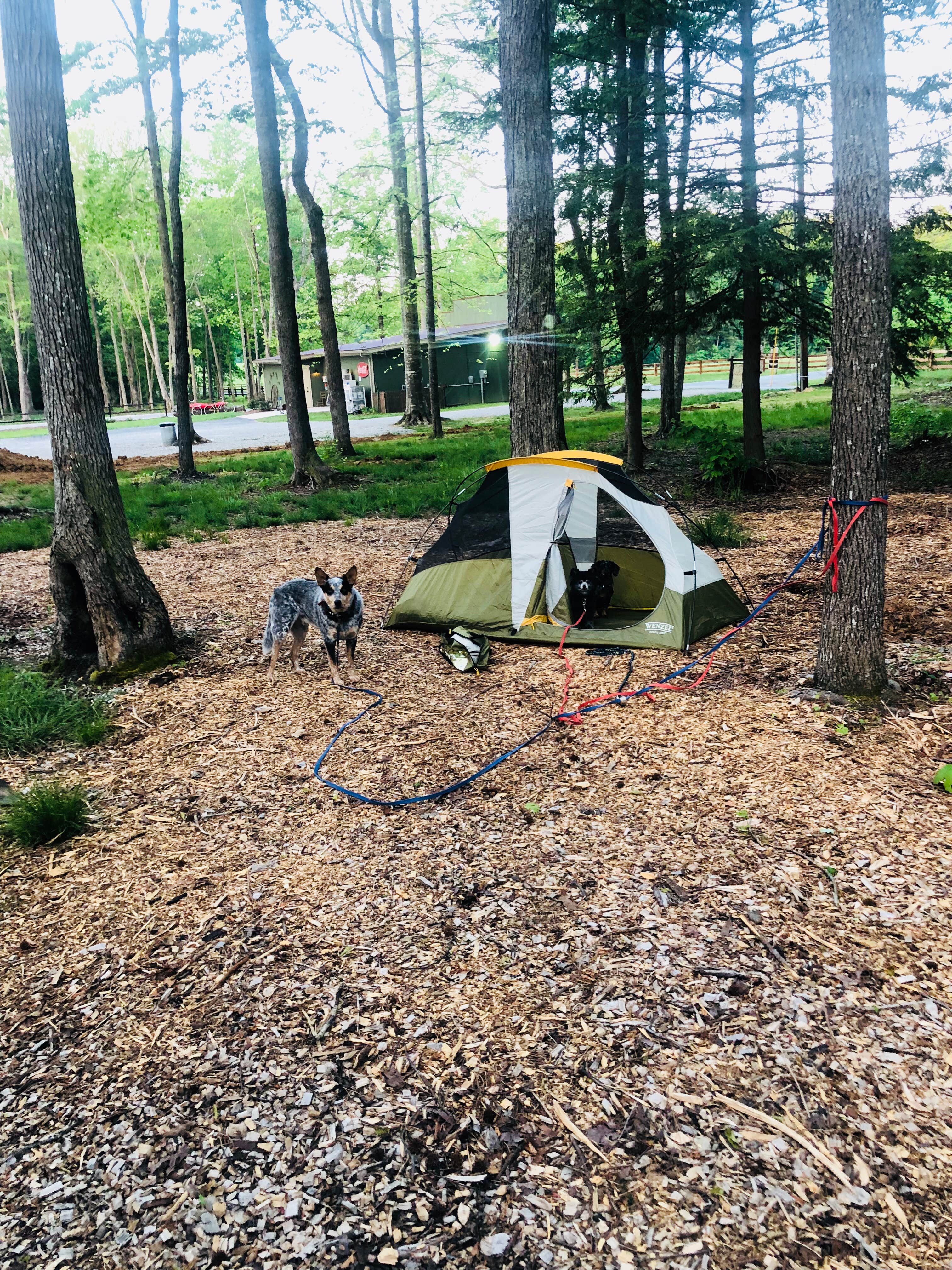 Shelly S.'s photo at Old Mill Camp and General Store near Cookeville, TN