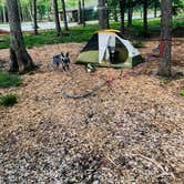 Review photo of Old Mill Camp and General Store by Shelly S., May 13, 2018