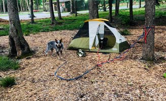Shelly S.'s photo at Old Mill Camp and General Store near Dale Hollow Lake