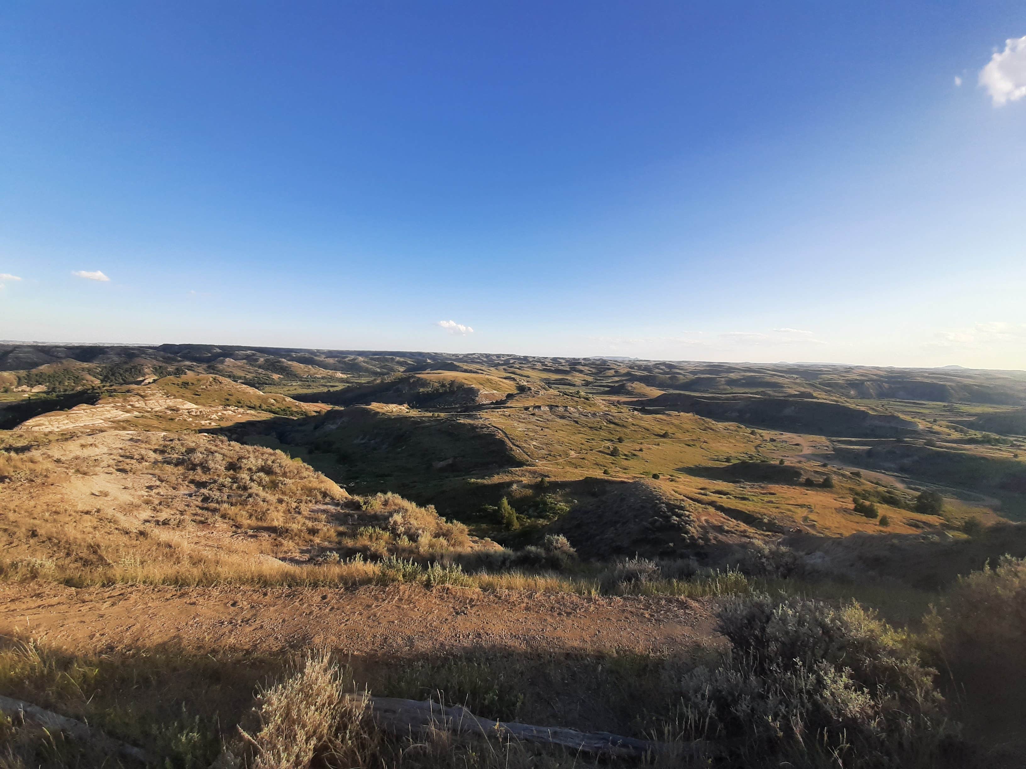 Camper submitted image from Wannagan Campground - 2