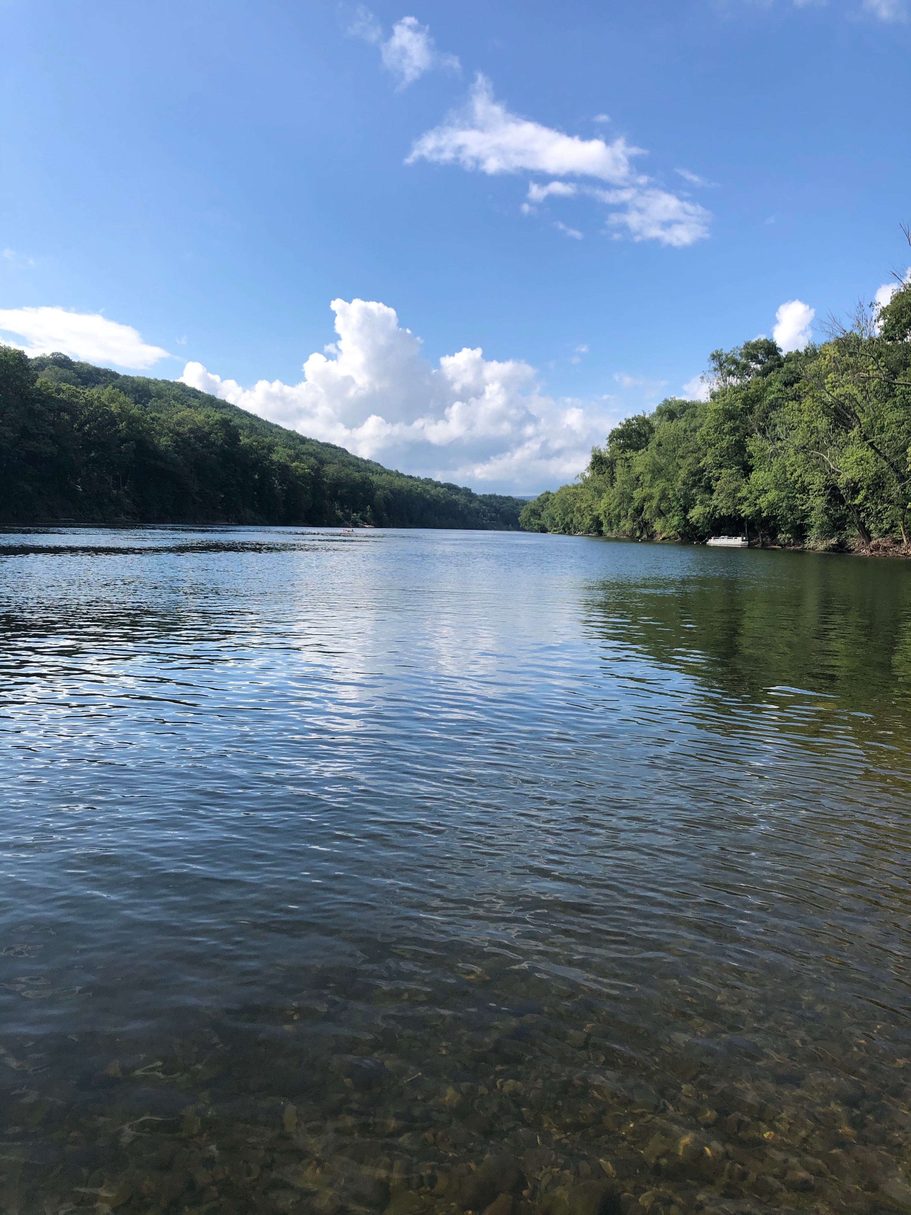 Camper submitted image from Delaware River Family Campground - 1
