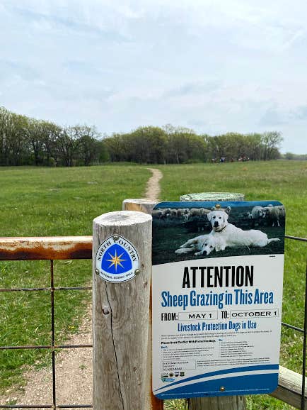 Rachel O.'s photo of camping with pets at Jorgen's Hollow Campground — Dakota Prairie National Grasslands near Glyndon, MN