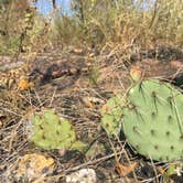 Review photo of Blue Mounds State Park Campground by David W., September 1, 2020