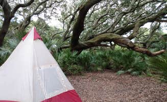 Sara R.'s photo of tent camping at Sea Camp Campground — Cumberland Island National Seashore near Darien, GA