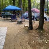 Review photo of Bearcamp River Campground by Ashley S., September 1, 2020