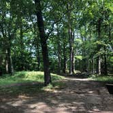 Review photo of Old Stone Fort State Archaeological Park by Benjamin C., September 1, 2020