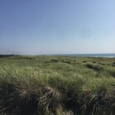 Review photo of Twin Harbors State Park Campground by Bjorn S., September 1, 2020