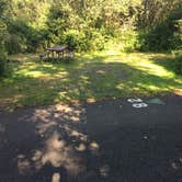 Review photo of Twin Harbors State Park Campground by Bjorn S., September 1, 2020