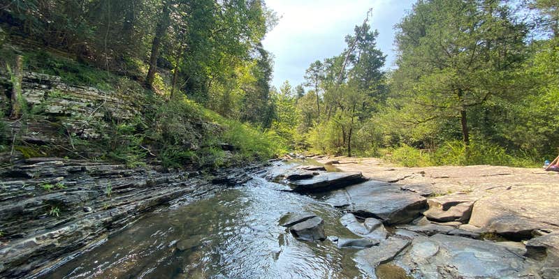 Camper submitted image from Acorn Campground — Beavers Bend State Park