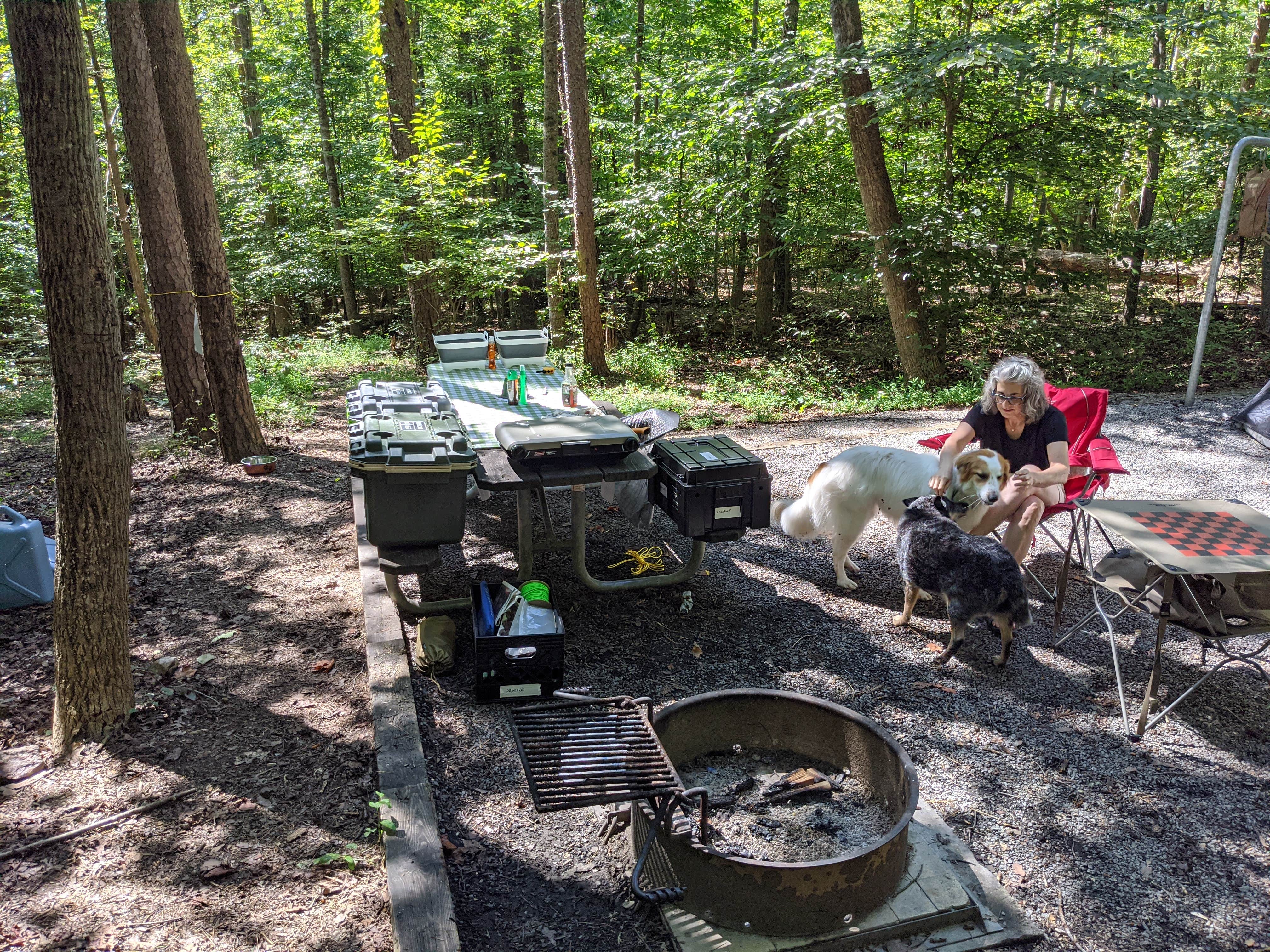 Joe S.'s photo of camping with pets at Smith Mountain Lake State Park Campground near Salem, VA