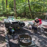 Review photo of Smith Mountain Lake State Park Campground by Joe S., September 1, 2020