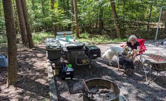 Joe S.'s photo at Smith Mountain Lake State Park Campground near Huddleston, VA