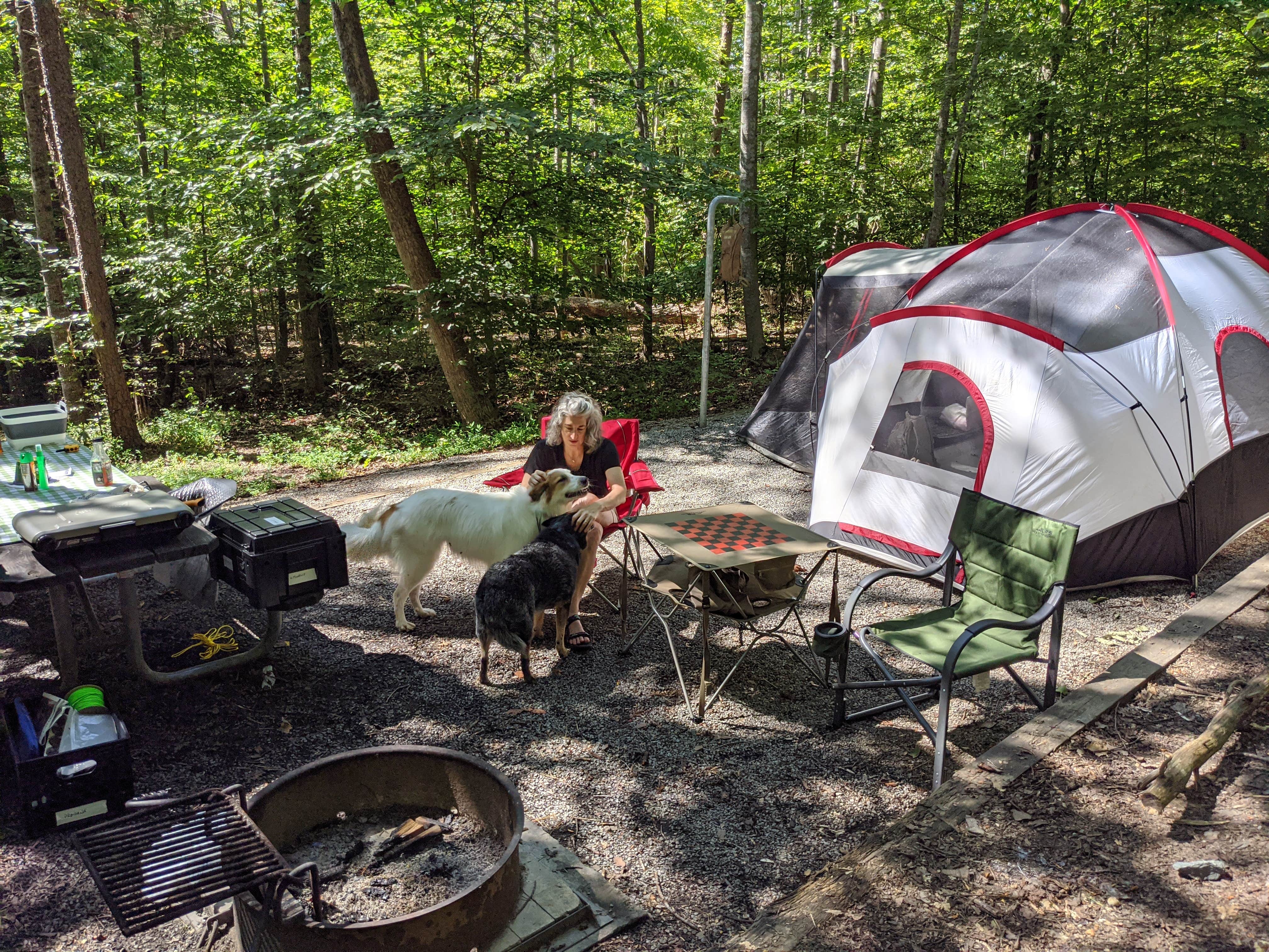Joe S.'s photo of camping with pets at Smith Mountain Lake State Park Campground near Rocky Mount, VA