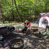 Review photo of Smith Mountain Lake State Park Campground by Joe S., September 1, 2020
