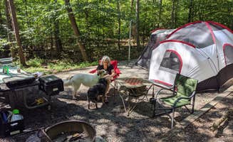 Joe S.'s photo of camping with pets at Smith Mountain Lake State Park Campground near Bent Mountain, VA