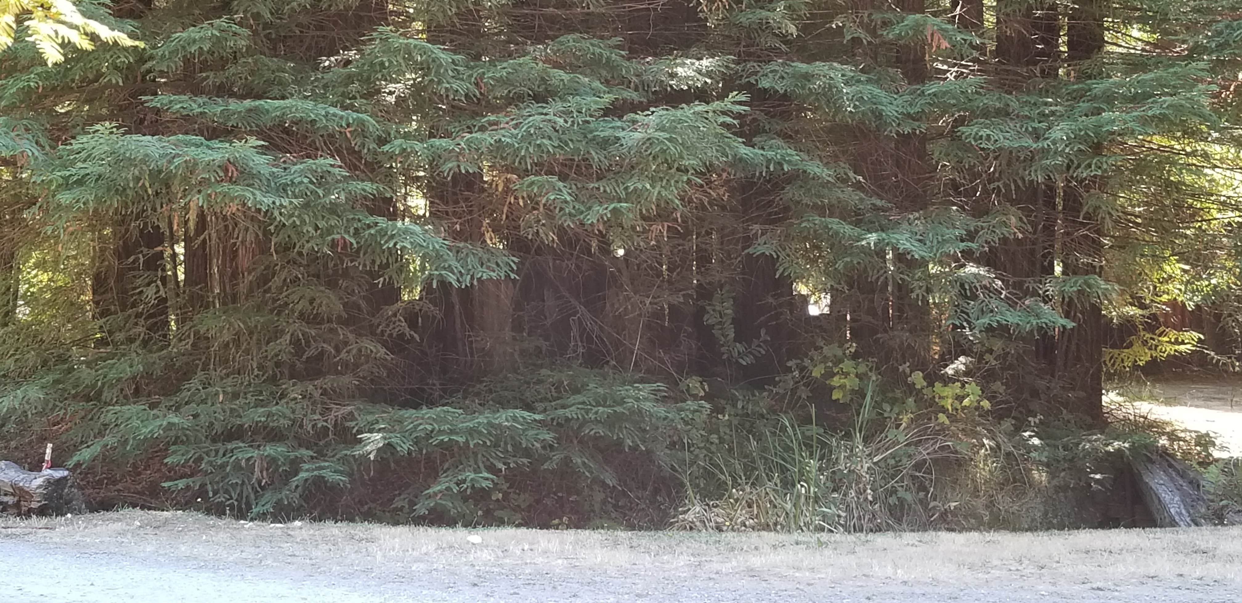 Camper submitted image from Stafford RV Park - 4