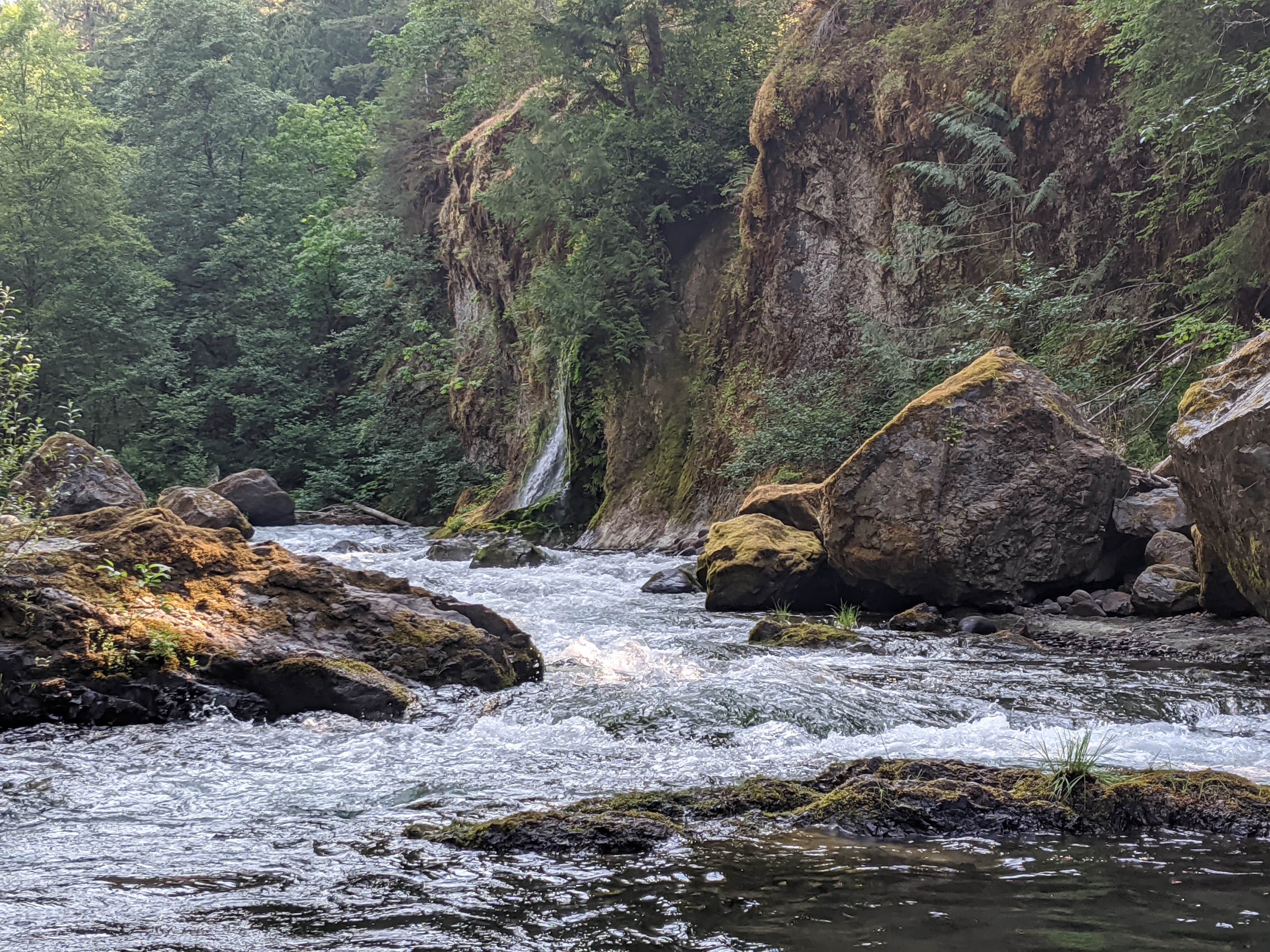 Camper submitted image from Salmon Creek Falls Campground - 3