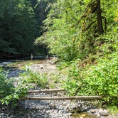 Review photo of Salmon Creek Falls Campground by Tim O., September 1, 2020