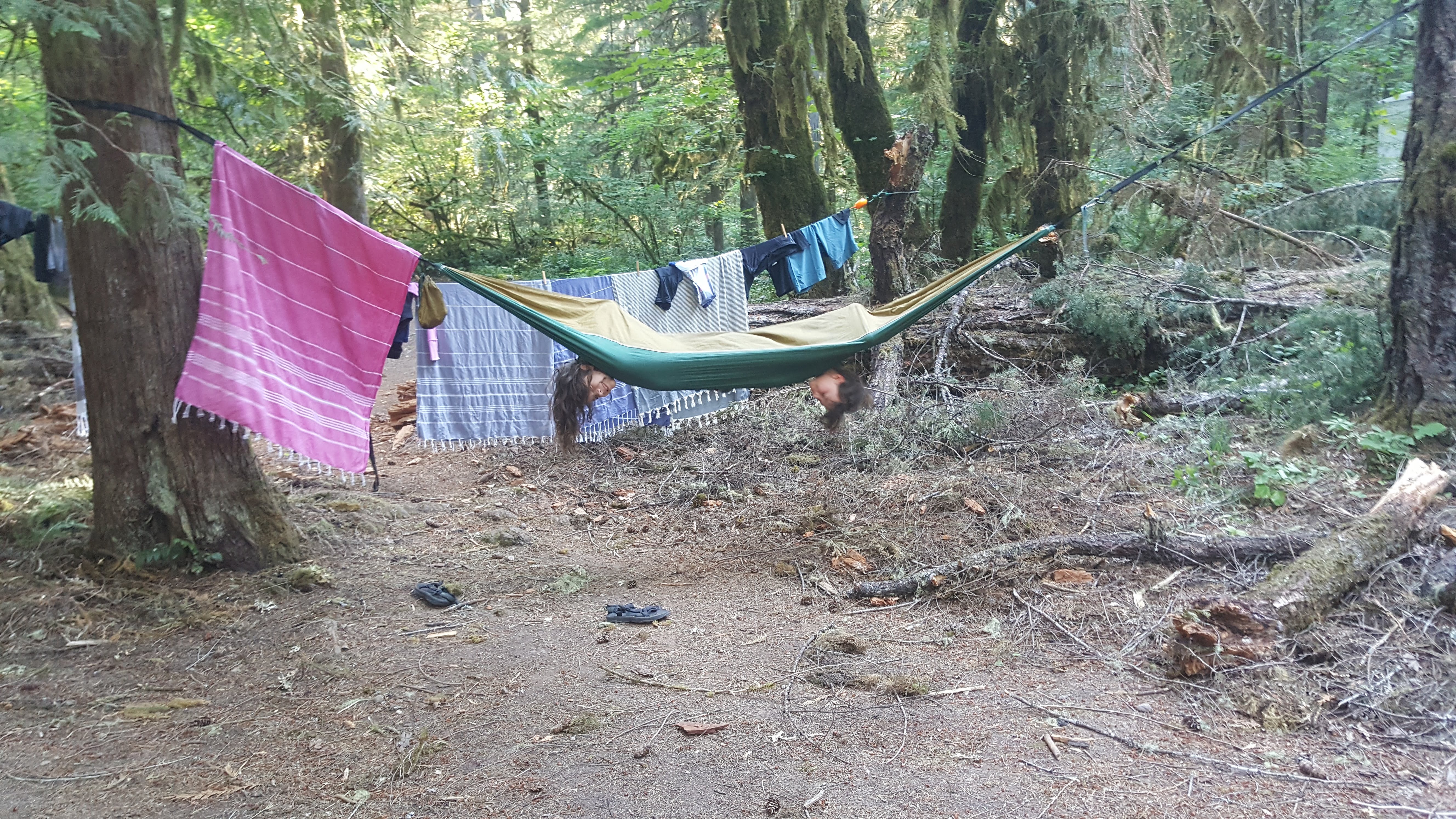 Campsites are hammock friendly