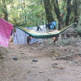 Review photo of Salmon Creek Falls Campground by Tim O., September 1, 2020