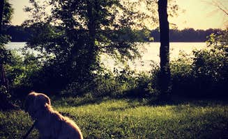 Keith M.'s photo of camping with pets at Sangchris Lake State Park Campground near Ramsey, IL