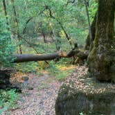 Review photo of Boise Creek by Timothy , September 1, 2020