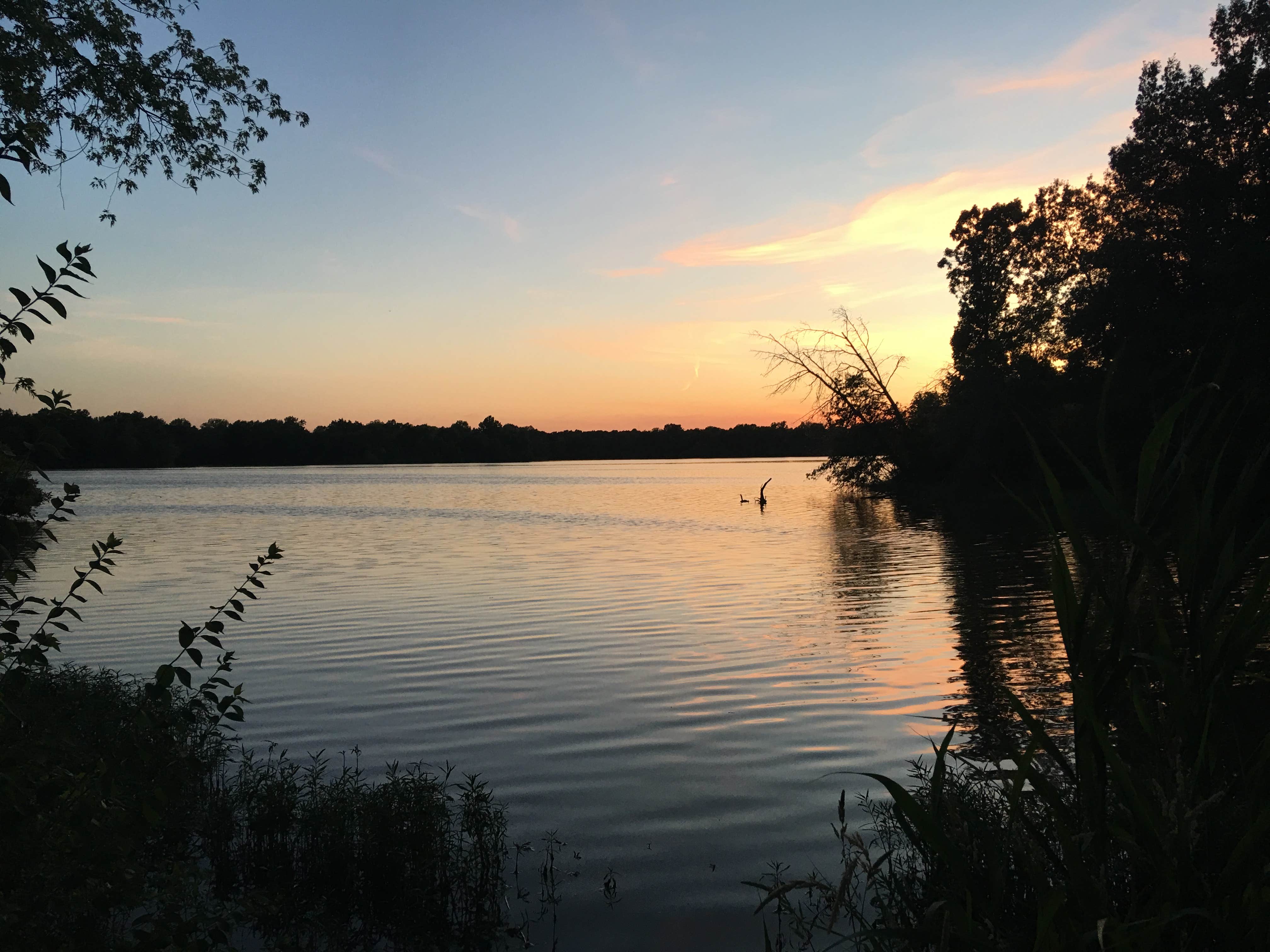 Hickory Point - Sangchris Lake State Park Camping | The Dyrt